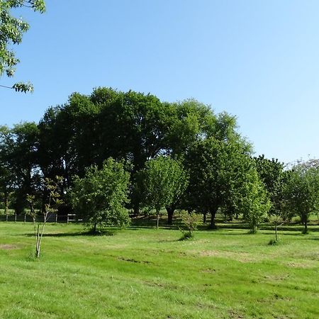 مبيت وإفطار Anché Moulin De Reigner المظهر الخارجي الصورة