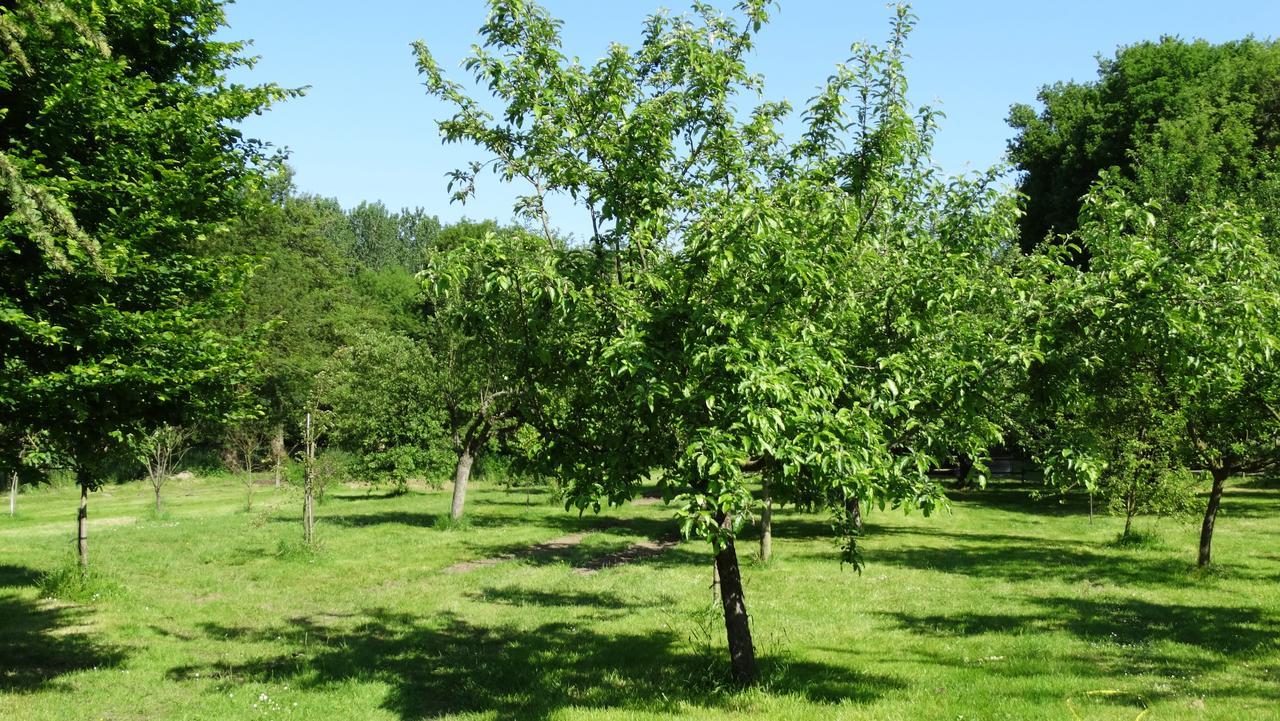 مبيت وإفطار Anché Moulin De Reigner المظهر الخارجي الصورة