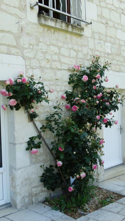 مبيت وإفطار Anché Moulin De Reigner المظهر الخارجي الصورة